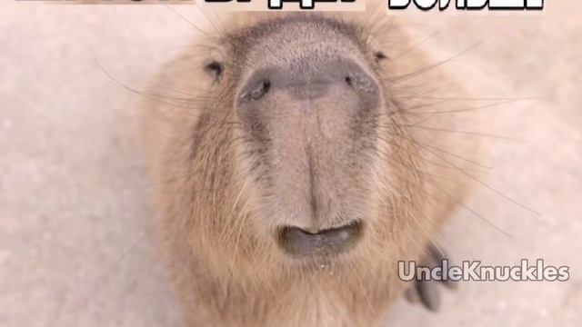 ШУТОК БУДЕТ БОЛЬШЕ