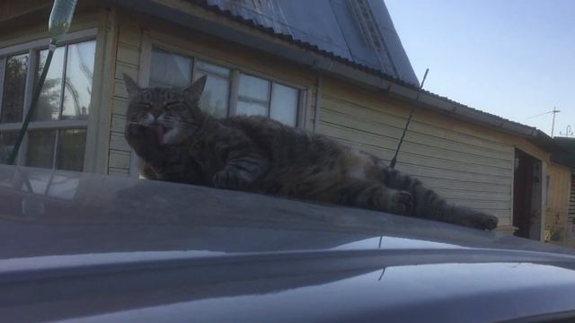 Ася.Дача ...... смотреть онлайн