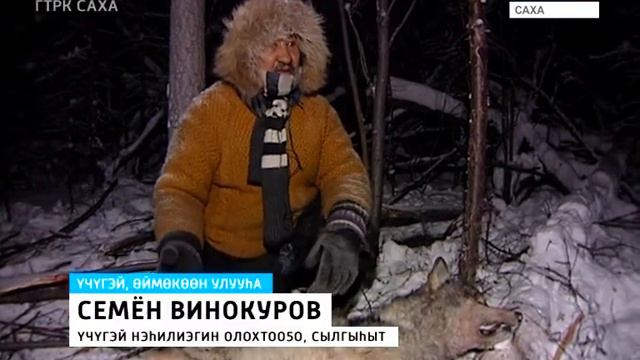 ВОЛКИ смотреть онлайн