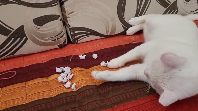 Страшила выбирает свой месяц рождения. А то мы не знаем, когда отмечать))) смотреть онлайн