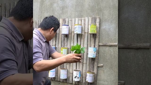 Вот так можно посадить клубнику.