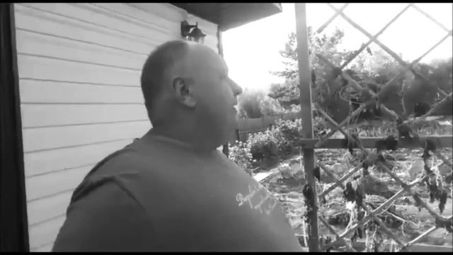 Любимая дача/Любимая Караганда/Рябиновые Губы/Осеннее оранжево красное настроение смотреть онлайн