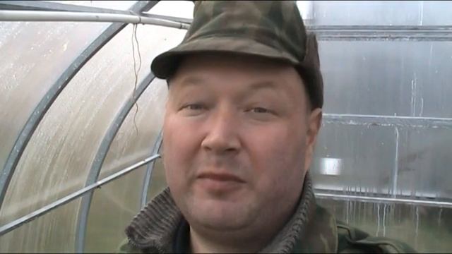 СЕРНАЯ ИЛИ ТАБАЧНАЯ ШАШКА? ГОТОВЛЮ К ЗИМЕ ТЕПЛИЦЫ!!! смотреть онлайн