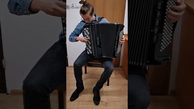 Pigini master po serwisie w Naprawa & Strojenie Akordeonów 798-123-474 смотреть онлайн