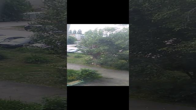 VID_20230614_080600 смотреть онлайн