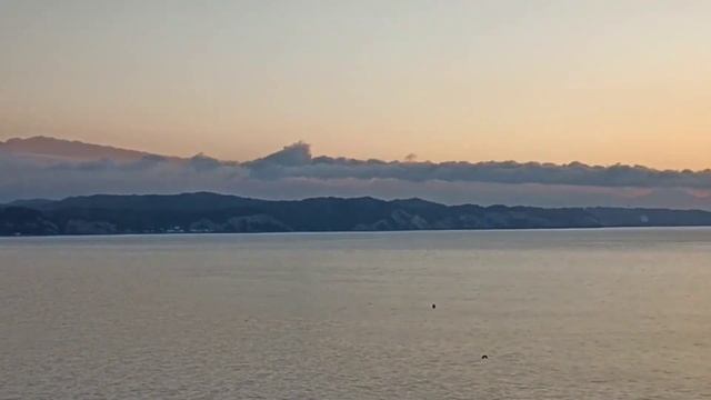 Абхазия, Пицунда 2022 г. смотреть онлайн