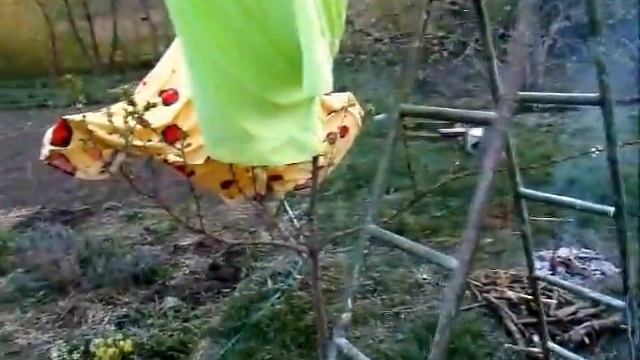 Спасаем сад от весенних заморозков смотреть онлайн