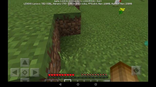 Тем кто просмотрел этот ролик и гулять Пожалуйста на моём сервере Minecraft версия 1.2.0. 31 смотреть онлайн
