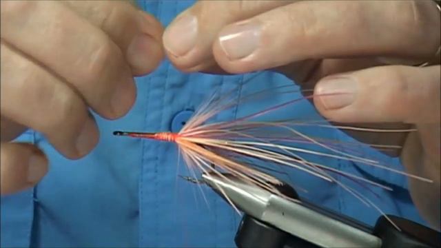 Tying a Pattegrisen Shrimp variant with Davie McPhail смотреть онлайн