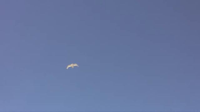 Кирилловка , море это класс!!!.m2ts смотреть онлайн