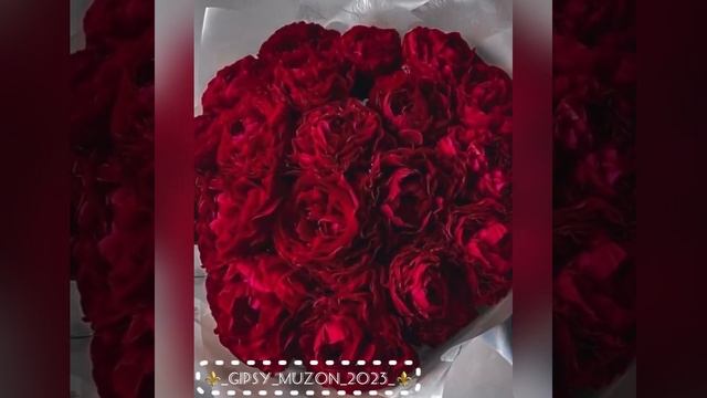 Цыганская полька 2020 смотреть онлайн