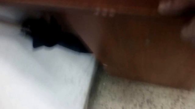Эко-маркет (ч. 2). Запрет на съёмку. смотреть онлайн