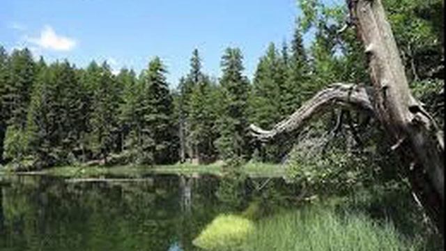 страны мира 7 смотреть онлайн