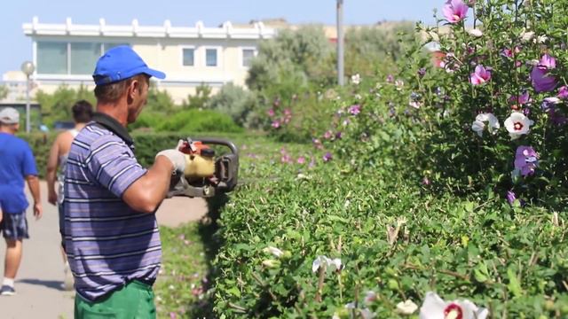 Менее чем за 2 недели 