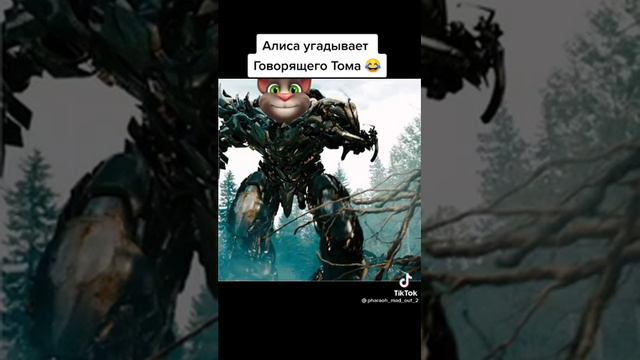 Алиса угадывает Говорящего тома смотреть онлайн