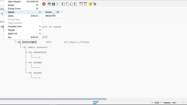 How to Export RFC in SAP System and From OS Level | #sapbasis #sap #sapcommunity @odia_engineer смотреть онлайн