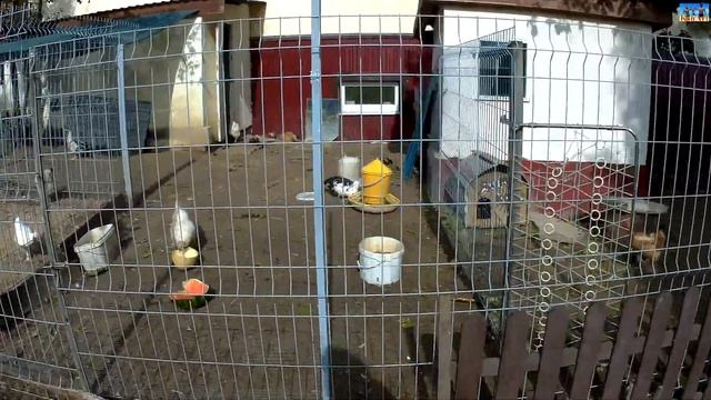 Усадьба Заречаны Беларусь Минская область смотреть онлайн