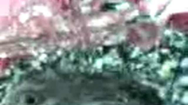 a Bird Learns how to fly".. Before смотреть онлайн