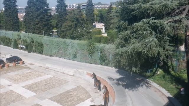Королевский дворец обходим по периметру смотреть онлайн