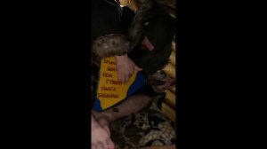 Нейромонах Феофан - Три заветных лепестка (Каряга Тв cover)