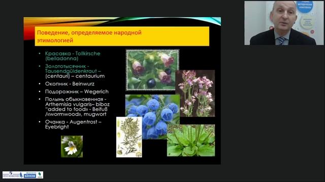 Путь к иноязычной культуре – серия УМК «Вундеркинды» и «Вундеркинды Плюс» смотреть онлайн