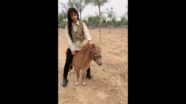 beautiful girl riding a pony смотреть онлайн