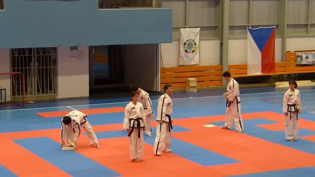 Taekwon do ITF, 20 2 2013 Demo смотреть онлайн