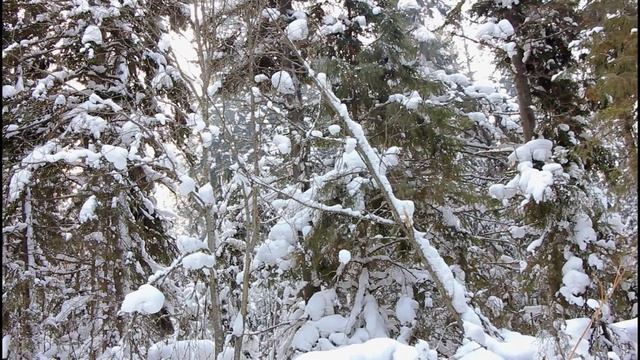 Таежный BUSHCRAFT ?Один в тайге ? Полевая кухня в лесу. смотреть онлайн