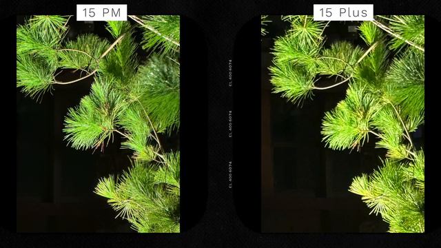 這次最推的就是它! iPhone 15 Plus 一週心得