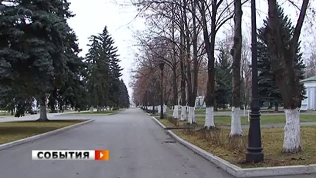 Новогодние елки на фоне зеленой травы? смотреть онлайн