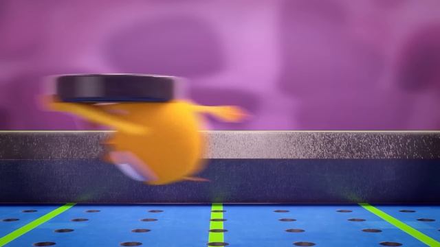 Where's Chicky? Funny Chicky 2022 | COLOR GAME | Cartoon In English For Kids | New Episodes