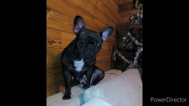 детство во сне смотреть онлайн