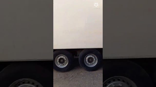 Отправка отборной ЧЕРЕШНИ в РОССИЮ. село Уч Коргон Кыргызстан смотреть онлайн