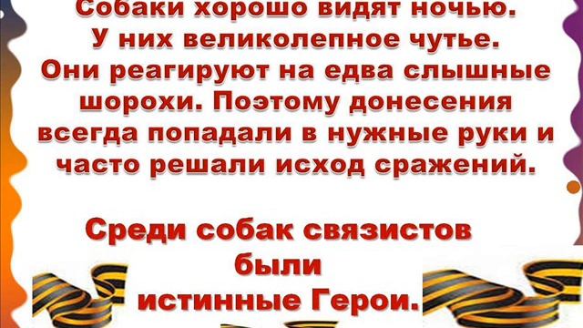 Собаки-связисты во время ВОВ.. смотреть онлайн