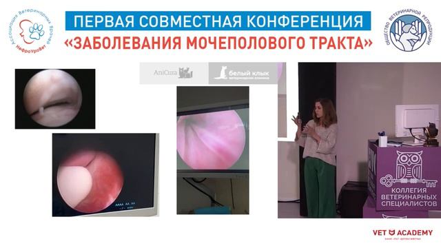 Хирургическая коррекция недержания мочи смотреть онлайн