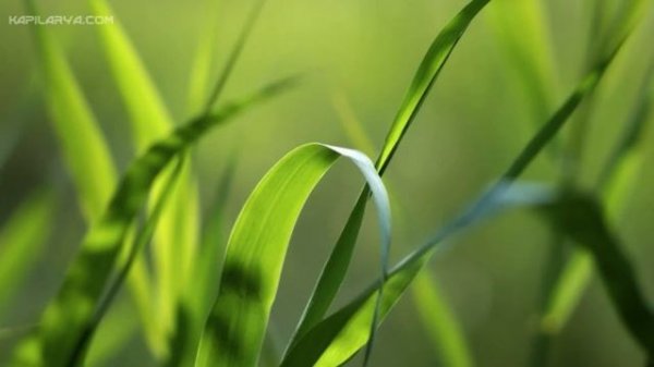 Server Manager Cannot Load The Server List