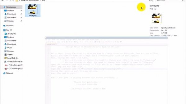 How to Change Skin in Minecraft Java Edition Offline