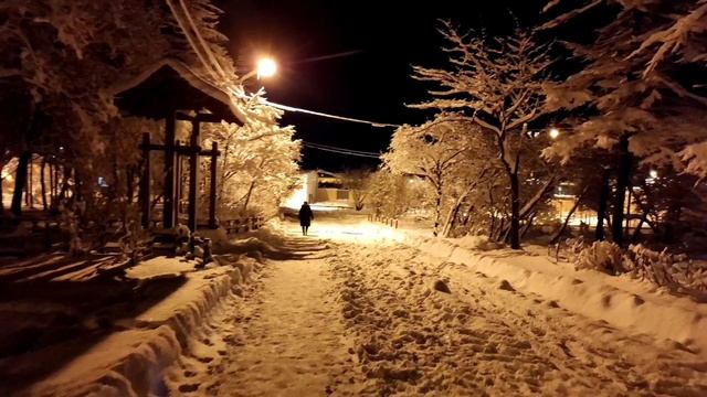 Где красиво зимой? /Ночной Магадан в снегу/ История городского парка смотреть онлайн