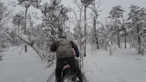 Снегоход Ураган SWT. Пробираюсь лесом. Конкурент СМ-002