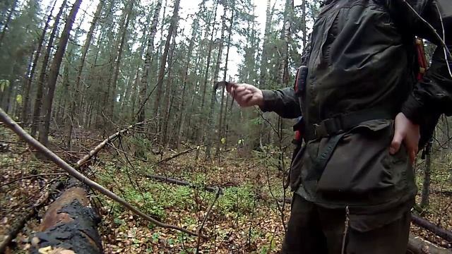 Часы в лес (выход в лес) смотреть онлайн