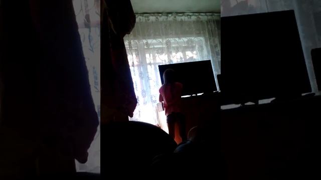 Тайная жизнь домашних животных кошек смотреть онлайн