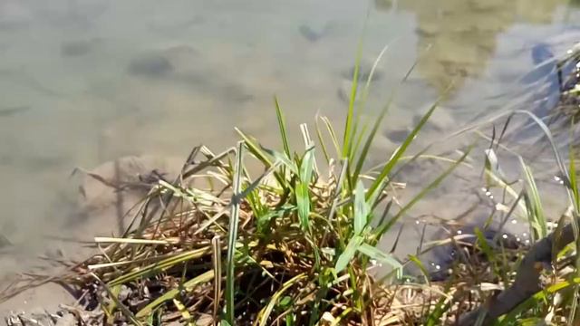 Рыбалка за 2 час на уголке на реке биюк-карасу, после потопа за 28 июля 2022 г. смотреть онлайн