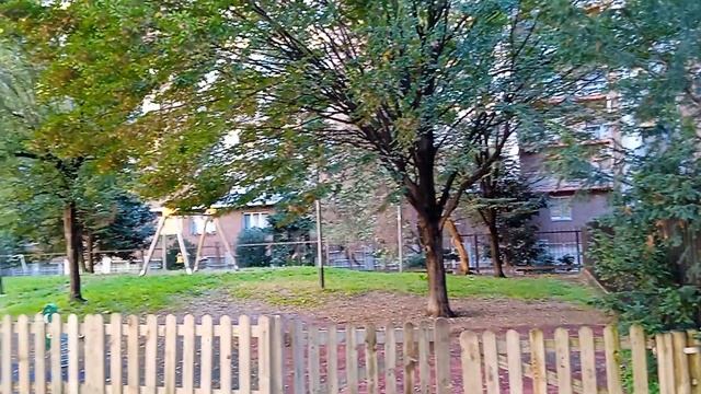 В МИЛАНЕ ПОВСЮДУ БЕЛОЧКИ!????️? смотреть онлайн