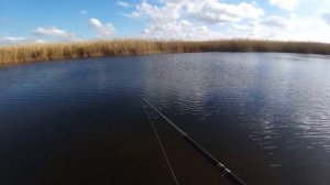 Рыбалка в Краснодарском крае. Ловля щуки на лиманах в ноябре!
