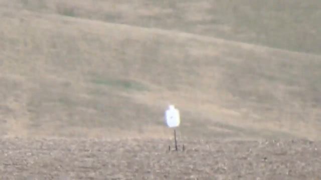 DPMS SASS 308 425 yards смотреть онлайн