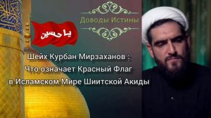 Шейх Курбан Мирзаханов : что означает Красный Флаг в Исламском Мире Шиитской Акиды
