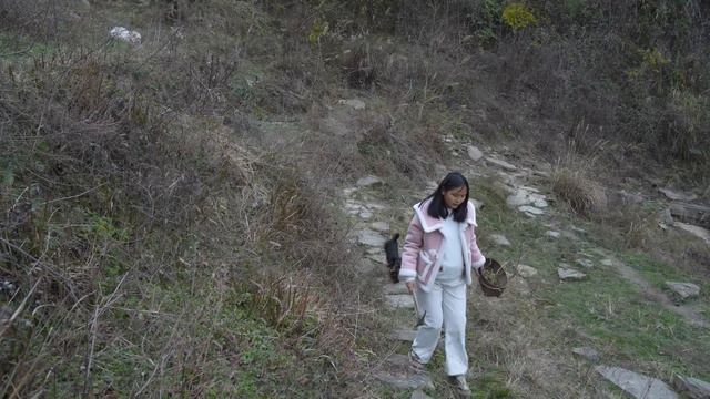 表弟来山里看我们改造的老房子，小琴做了一桌子野菜招待，表弟说大城市很难吃到 смотреть онлайн