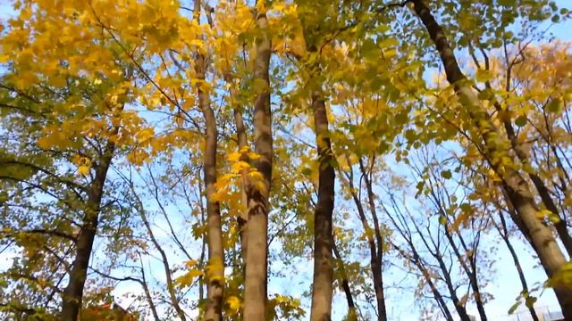Камера Samsung Galaxy Note 2 без стаба (camera test, sample w/o stab), 1080p, Full HD смотреть онлайн