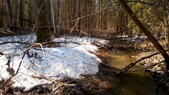 Лесной ручей смотреть онлайн