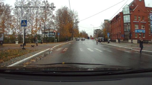 В Ханты-Мансийске даже собаки соблюдают ПДД смотреть онлайн